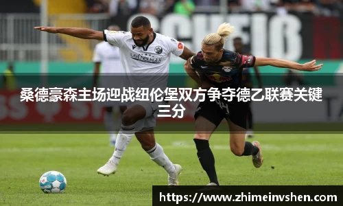 桑德豪森主场迎战纽伦堡双方争夺德乙联赛关键三分
